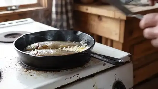 Cast-iron skillet with two trout fillets turned over in butter on a cabin stove